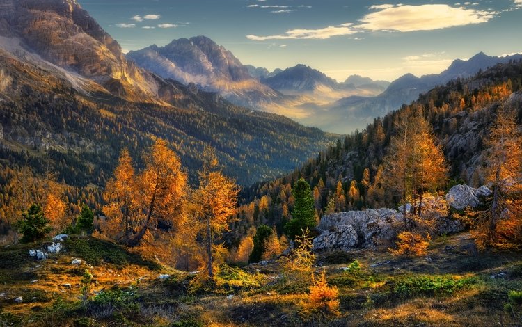 деревья, горы, природа, лес, пейзаж, осень, trees, mountains, nature, forest, landscape, autumn