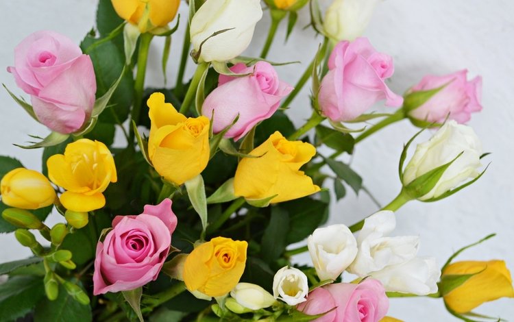 цветы, розы, лепестки, бутон, букет, flowers, roses, petals, bud, bouquet