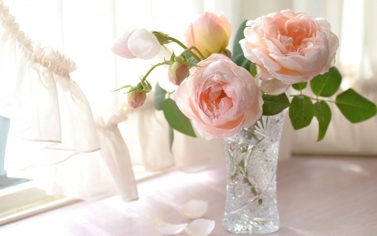 свет, цветы, розы, лепестки, букет, окно, нежность, ваза, light, flowers, roses, petals, bouquet, window, tenderness, vase
