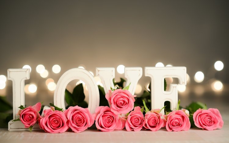 цветы, розы, лепестки, любовь, день святого валентина, flowers, roses, petals, love, valentine's day