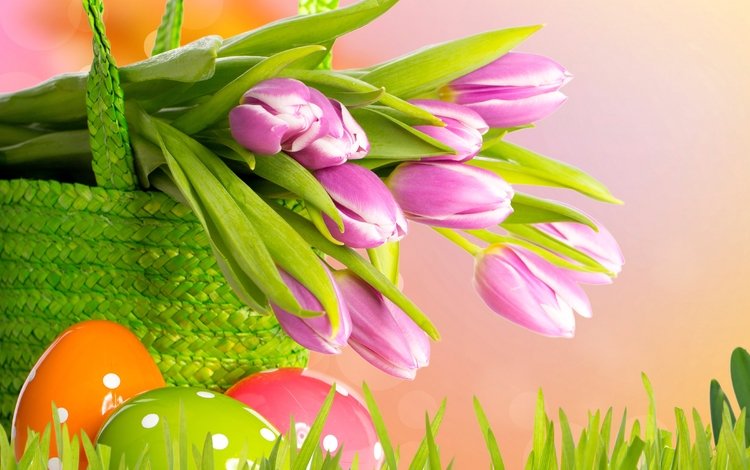 цветы, весна, корзина, тюльпаны, пасха, яйца, flowers, spring, basket, tulips, easter, eggs