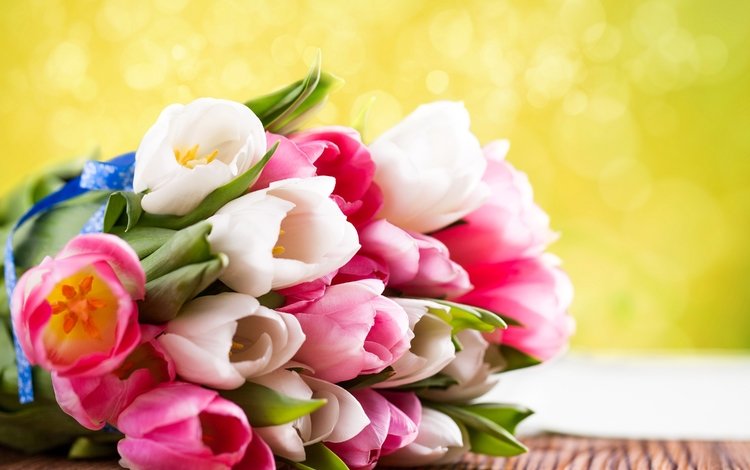 цветы, весна, букет, тюльпаны, подарок, flowers, spring, bouquet, tulips, gift