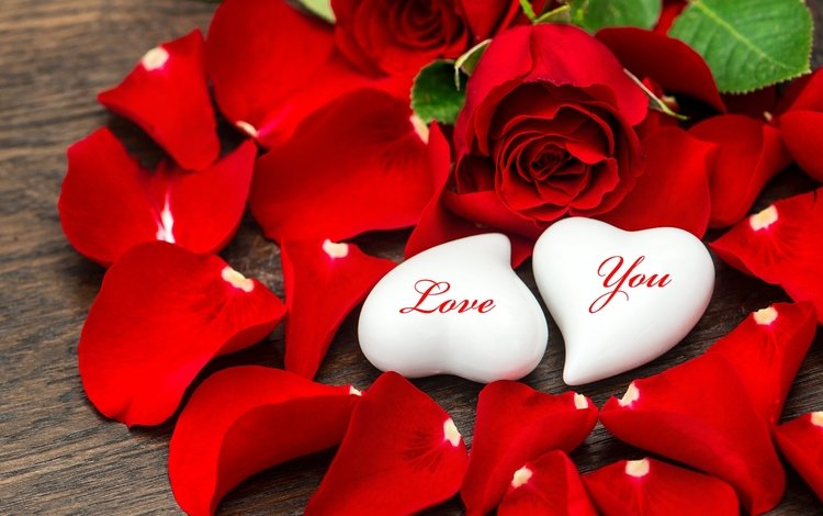 цветы, розы, лепестки, любовь, сердечки, день святого валентина, flowers, roses, petals, love, hearts, valentine's day
