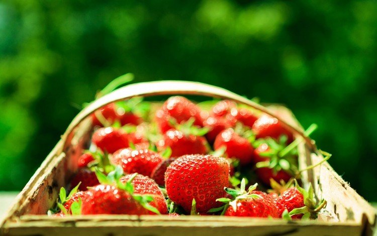 зелёный, фон, клубника, размытость, ягоды, корзинка, green, background, strawberry, blur, berries, basket