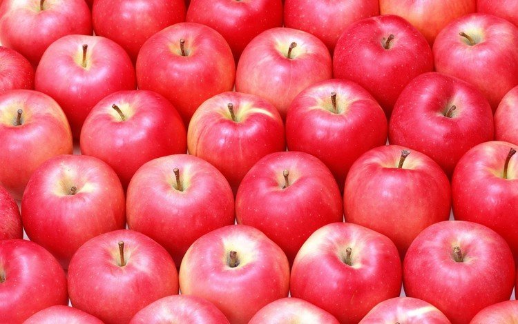 фрукты, яблоки, красные, fruit, apples, red