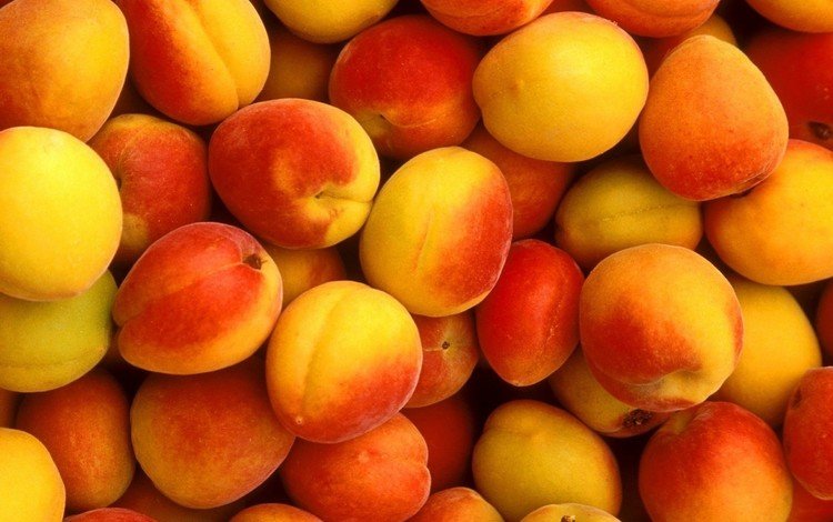 фрукты, абрикосы, fruit, apricots
