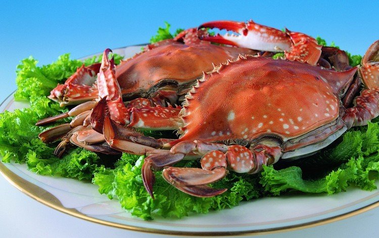 зелень, крабы, тарелка, краб, морепродукты, листья салата, greens, crabs, plate, crab, seafood, lettuce