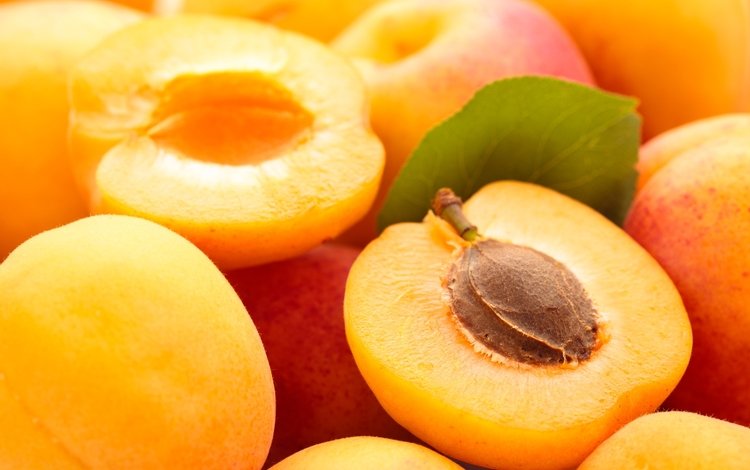 макро, лето, фрукты, абрикос, плоды, абрикосы, macro, summer, fruit, apricot, apricots