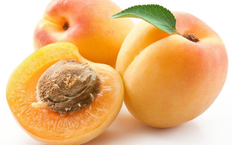 фрукты, белый фон, листик, разрез, косточка, абрикосы, fruit, white background, leaf, the cut, bone, apricots