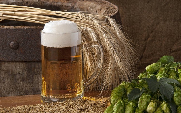 колосья, кружка, пиво, пена, ячмень, хмель, бочонок, ears, mug, beer, foam, barley, hops, barrel
