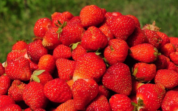 лето, клубника, красные, ягоды, спелые, summer, strawberry, red, berries, ripe