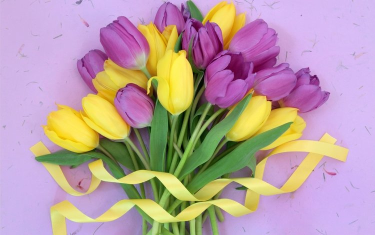 цветы, букет, тюльпаны, лента, жёлтая, тульпаны,  цветы, парное, лиловая, flowers, bouquet, tulips, tape, yellow, fresh, purple