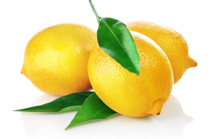 фрукты, зеленые, белый фон, листики, лимоны, цитрусы, fruit, green, white background, leaves, lemons, citrus