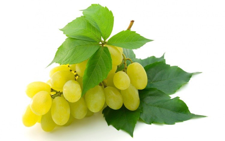 желтый, листья, виноград, ягоды, белый фон, кисть, гроздь, крупный, yellow, leaves, grapes, berries, white background, brush, bunch, large