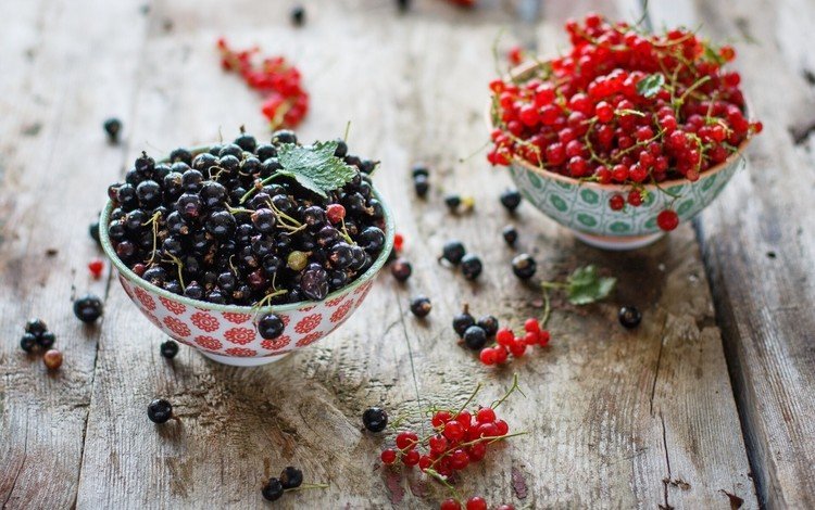 красная, ягоды, лесные ягоды, черная, смородина, смородины, деревянная поверхность, red, berries, black, currants, currant, wooden surface