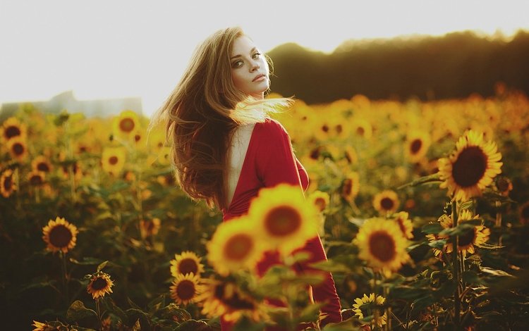 девушка, лето, взгляд, подсолнухи, красное платье, girl, summer, look, sunflowers, red dress