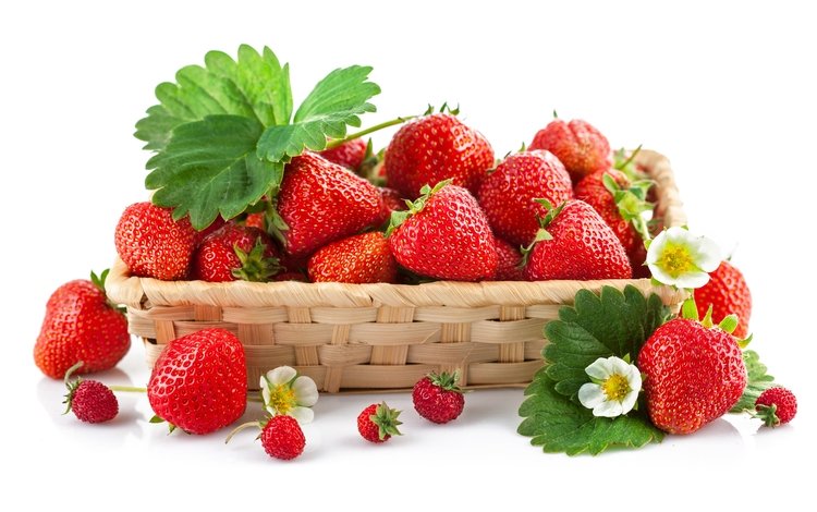 цветы, клубника, зеленые, ягоды, листики, земляника, flowers, strawberry, green, berries, leaves, strawberries