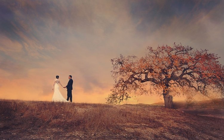 небо, дерево, поле, пара, жених, невеста, свадебное платье, the sky, tree, field, pair, the groom, the bride, wedding dress