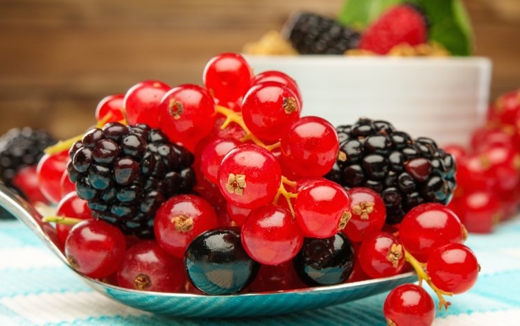 красная, ягоды, лесные ягоды, черная, ежевика, смородина, парное, red, berries, black, blackberry, currants, fresh