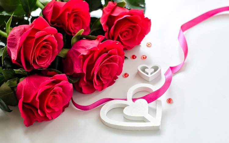 цветы, розы, лепестки, любовь, день святого валентина, flowers, roses, petals, love, valentine's day