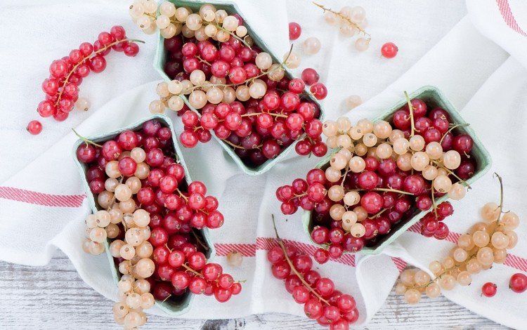 красная, ягоды, белая, смородина, кисти, red, berries, white, currants, brush