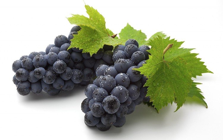 листья, виноград, капли, ягоды, кисть, гроздь, грозди, виноградные, leaves, grapes, drops, berries, brush, bunch, bunches, grape