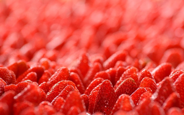 макро, клубника, ягоды, лесные ягоды, земляника, macro, strawberry, berries, strawberries