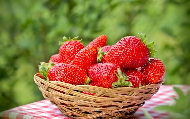 клубника, красные, спелая, ягоды, лесные ягоды, корзинка, парное, strawberry, red, ripe, berries, basket, fresh