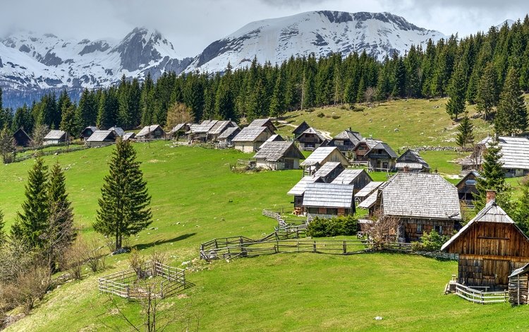 горы, лес, домики, поляна, словения, pokljuka, mountains, forest, houses, glade, slovenia