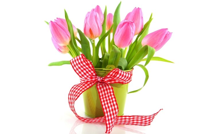 цветы, букет, тюльпаны, розовые, белый фон, лента, ведерко, flowers, bouquet, tulips, pink, white background, tape, bucket