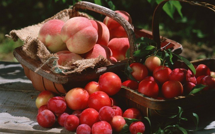 фрукты, корзина, урожай, персики, сливы, fruit, basket, harvest, peaches, plum