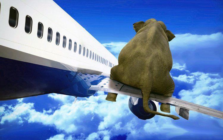 небо, облака, самолет, слон, the sky, clouds, the plane, elephant