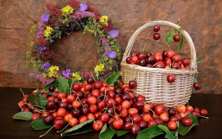 цветы, листья, черешня, корзина, ягоды, вишня, венок, натюрморт, flowers, leaves, cherry, basket, berries, wreath, still life