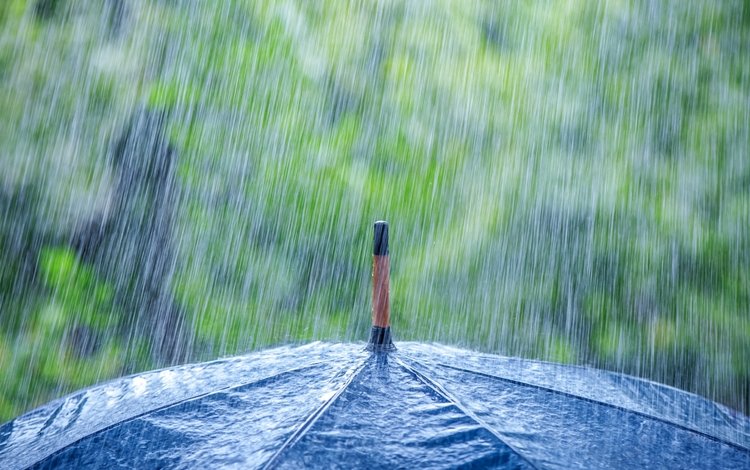 макро, дождь, зонт, зонтик, ливень, macro, rain, umbrella, the shower