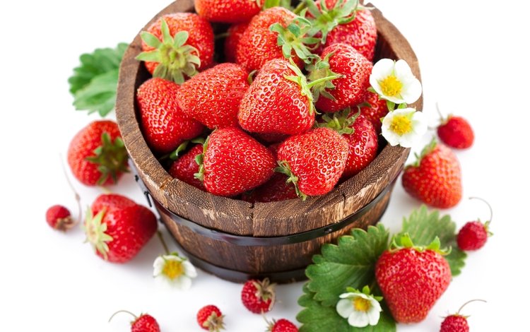 цветы, листва, красная, клубника, ягоды, земляника, бочонок, flowers, foliage, red, strawberry, berries, strawberries, barrel