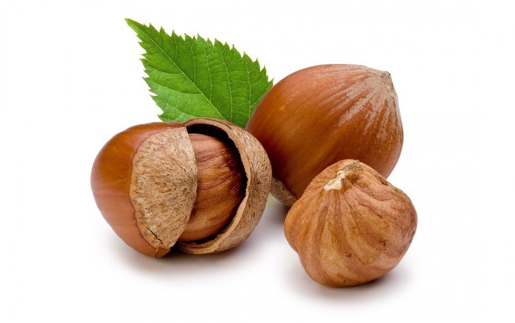 орехи, белый фон, листик, фундук, лесной орех, nuts, white background, leaf, hazelnuts, hazelnut