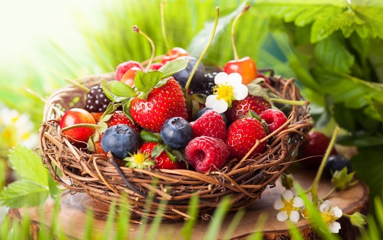 цветы, ежевика, листья, малина, клубника, корзина, ягоды, черника, вишни, flowers, blackberry, leaves, raspberry, strawberry, basket, berries, blueberries, cherry