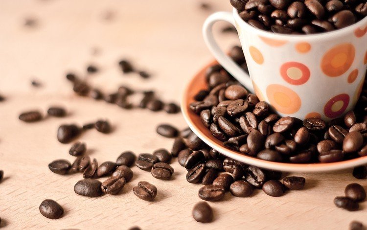 зерна, кофе, чашка, кофейные, café en grano, andrés nieto porras, grain, coffee, cup