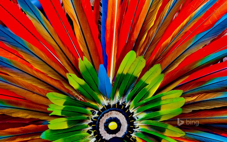 макро, краски, перья, ацтеки, головной убор, macro, paint, feathers, the aztecs, headdress