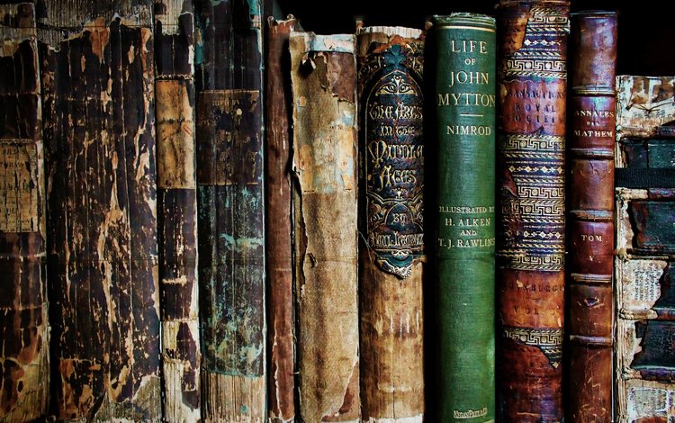 книги, книга, полка, старые, потрепанные, books, book, shelf, old, worn