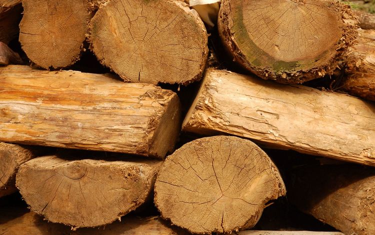 дерево, текстура, доски, дрова, бревна, tree, texture, board, wood, logs
