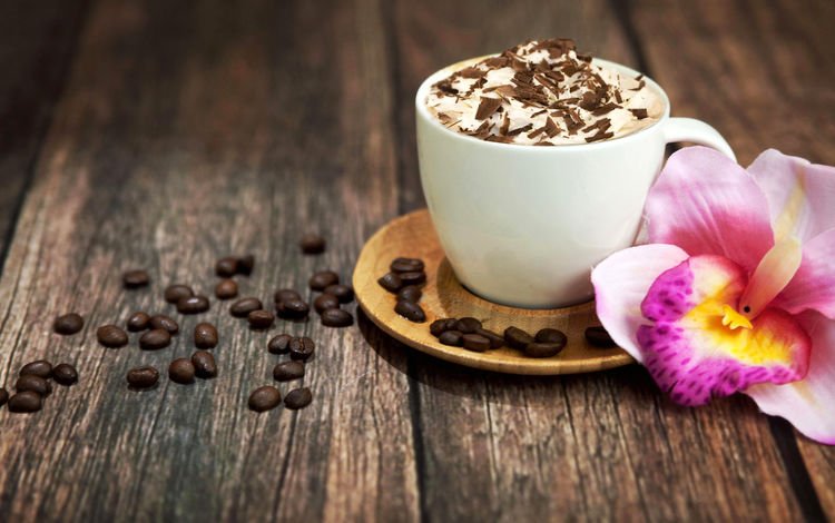 цветок, зерна, кофе, кофейные, шоколад, капучино, flower, grain, coffee, chocolate, cappuccino