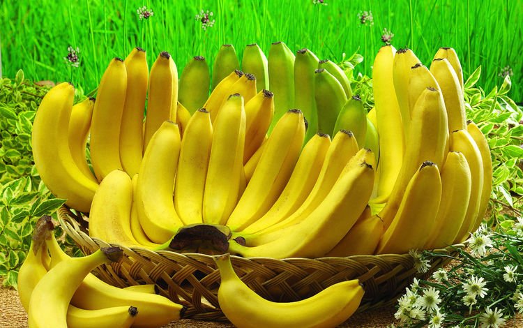 фрукты, бананы, fruit, bananas