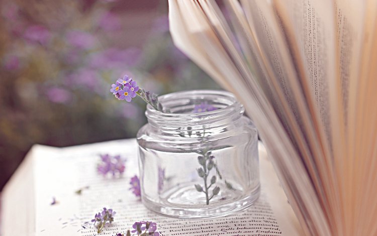 цветы, книга, банка, страницы, баночка, пузырёк, flowers, book, bank, page, jar, bubble