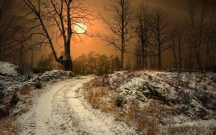 природа, лес, закат, зима, туман, дорога. деревья, nature, forest, sunset, winter, fog, road. trees