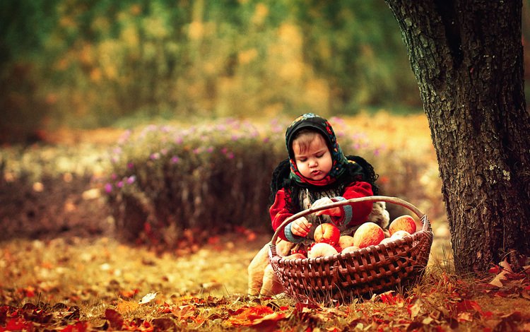 природа, яблоки, дети, девочка, ребенок, корзинка, платок, осенние листья, nature, apples, children, girl, child, basket, shawl, autumn leaves