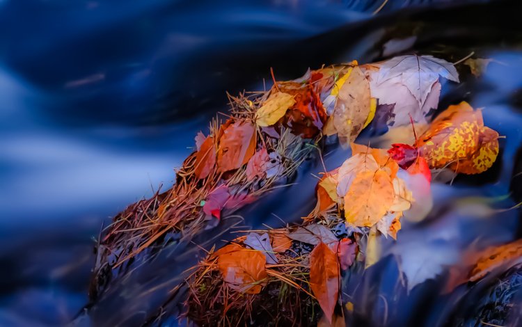 река, камни, листья, ручей, осень, поток, осенние листья, river, stones, leaves, stream, autumn, autumn leaves