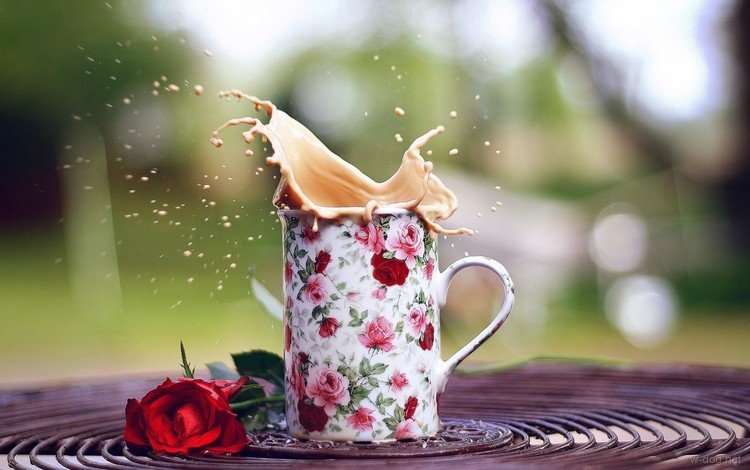 роза, кофе, брызги, кружка, настроения, чашка, розочка, rose, coffee, squirt, mug, mood, cup, rosette