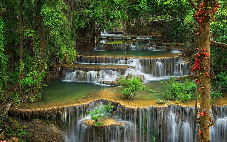 зелень, лес, водопад, красота, поток, каскад, дремучий, greens, forest, waterfall, beauty, stream, cascade, dense