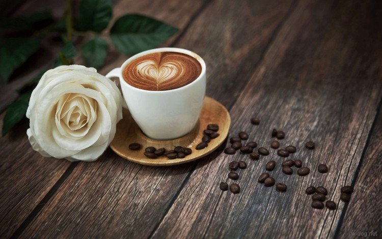 цветок, роза, кофе, чашка, кофейные зерна, деревянная поверхность, flower, rose, coffee, cup, coffee beans, wooden surface